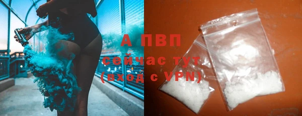 хмурый Верея