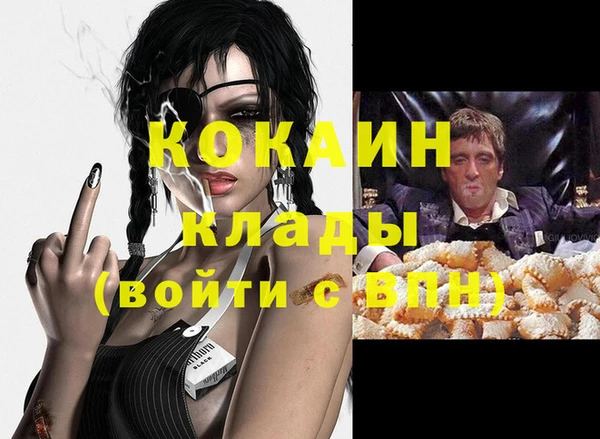 хмурый Верея