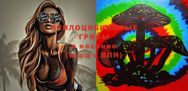 ГАЛЛЮЦИНОГЕННЫЕ ГРИБЫ Верхнеуральск