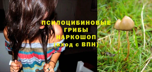 ГАЛЛЮЦИНОГЕННЫЕ ГРИБЫ Верхнеуральск