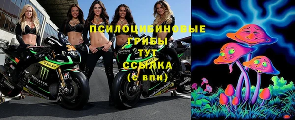 ГАЛЛЮЦИНОГЕННЫЕ ГРИБЫ Верхнеуральск