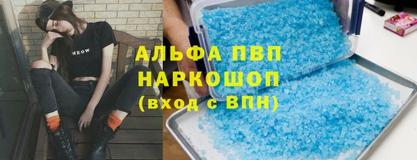 хмурый Верея