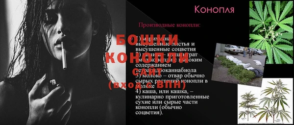 сатива Верхний Тагил