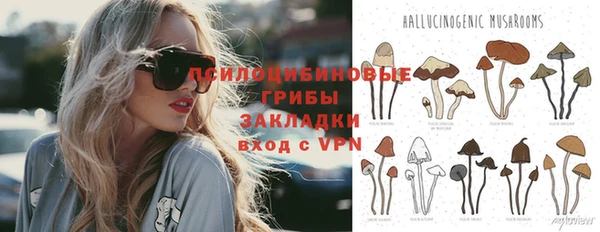 сатива Верхний Тагил