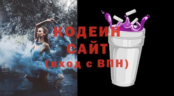 хмурый Верея