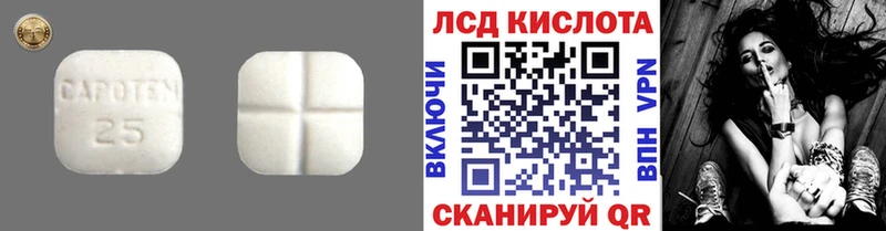 где можно купить наркотик Касимов ЛСД экстази ecstasy
