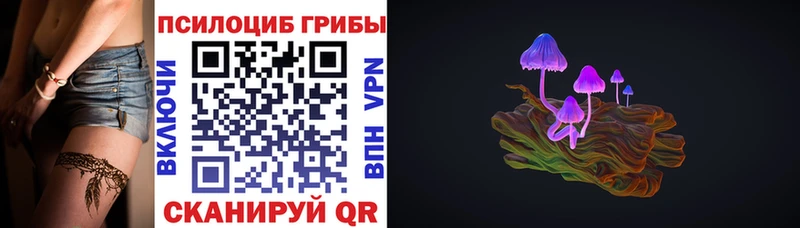 Галлюциногенные грибы Magic Shrooms  нарко площадка клад  Касимов 